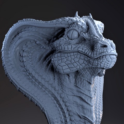 Image of Snake Dragon bust .