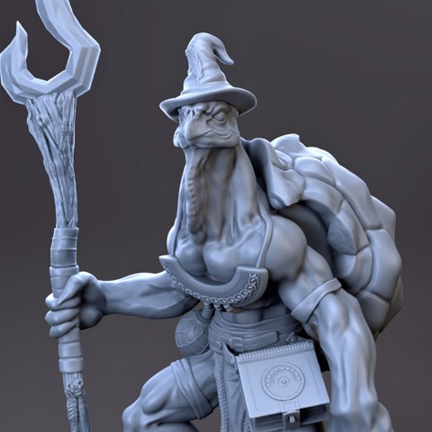 Image of Turtle Land WIZARD