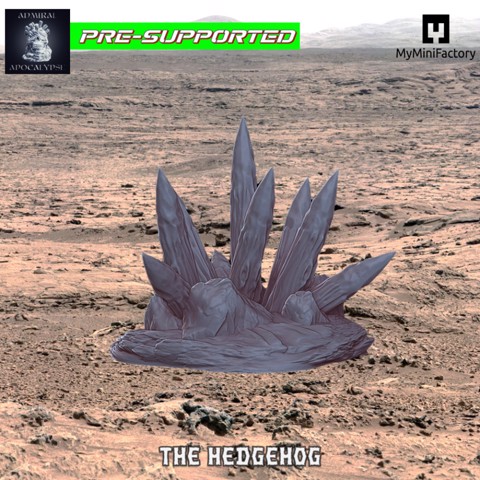 Image of The Hedgehog (Pre-supported)