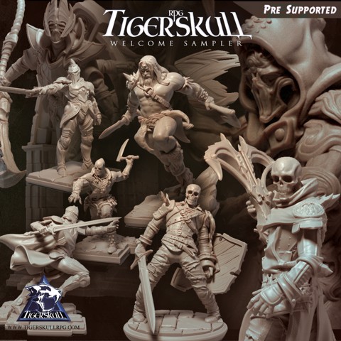 Image of Tiger Skull RPG Welcome Pack