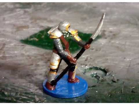 Image of Polearm knight