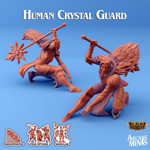 Image of Human Crystal Guard