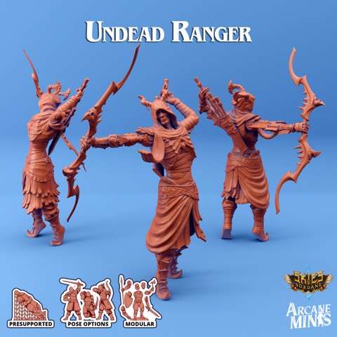 Image of Undead Ranger