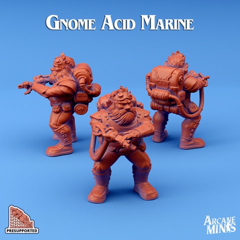 Image of Gnome Acid Marine