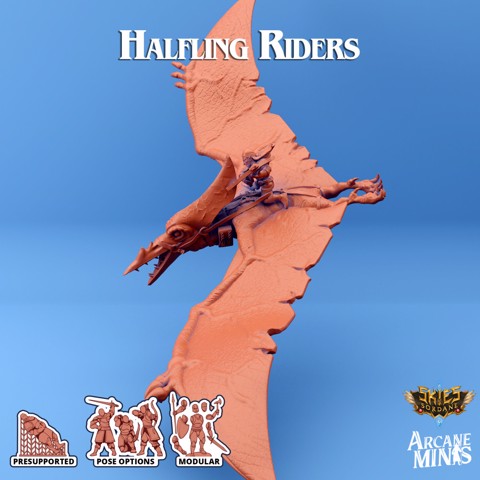 Image of Halfling Rider 1