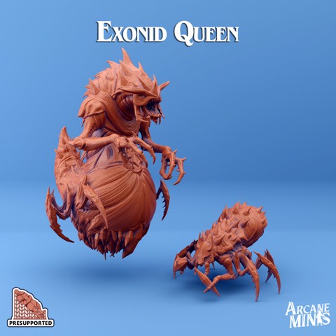 Image of Exonid - Queens