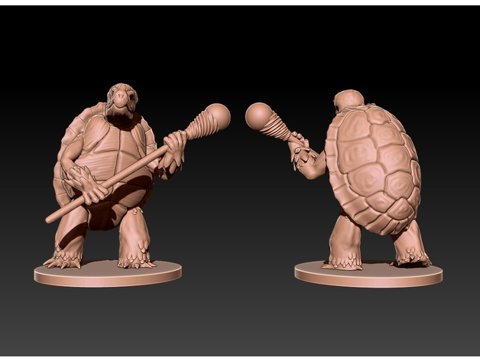 Image of Tortle Wizard for Tabletop RPG Fantasy Games