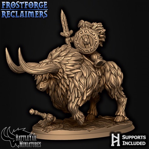 Image of Frostforge Shield-Maiden on Battle Yak A