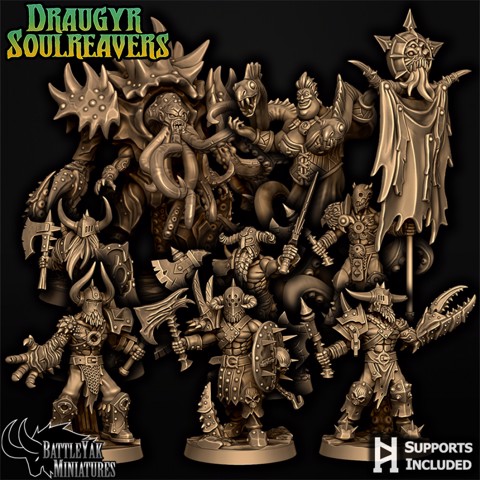 Image of Draugyr Soulreavers Character Pack