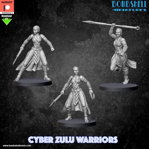 Image of Cyber Zulu Warriors