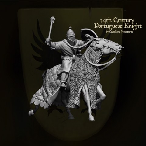 Image of 14th Century Portuguese Knight
