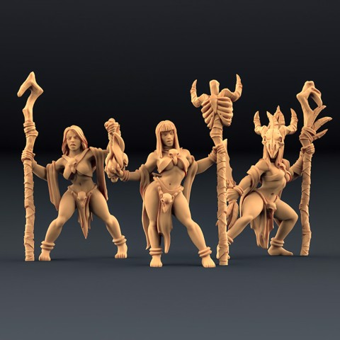Image of Blood Priestesses - 3 Units (AMAZONS! Kickstarter)