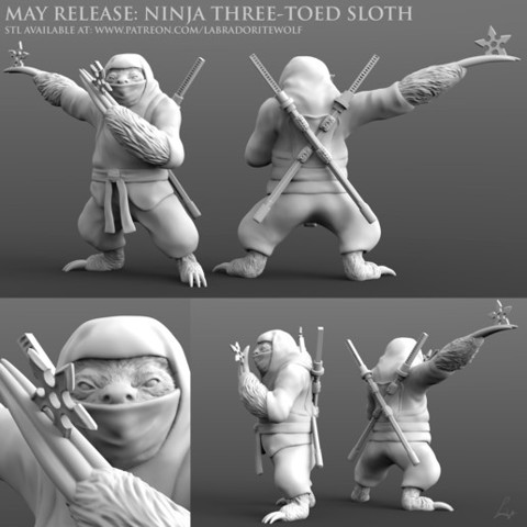 Image of Ninja Three-Toed Sloth