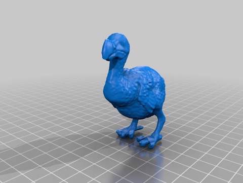 Image of More Realistic Dodo Raphus