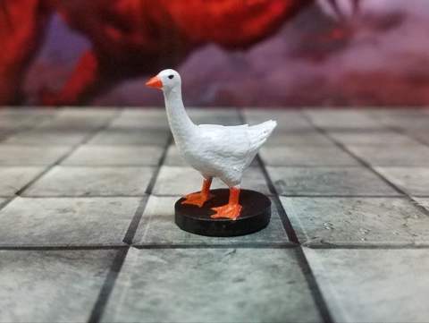 Image of The Unnamed Goose!