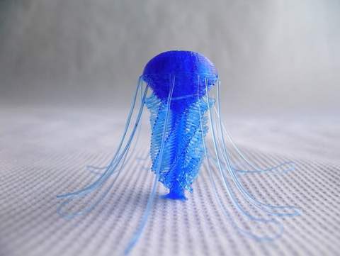 Image of Jellyfish customizable - drooloops