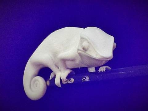 Image of Chameleon DeskPal