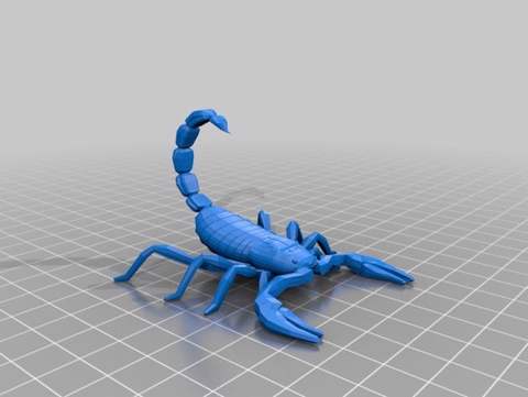 Image of scorpion