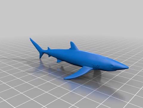 Image of サメ（Shark）3Dデータ