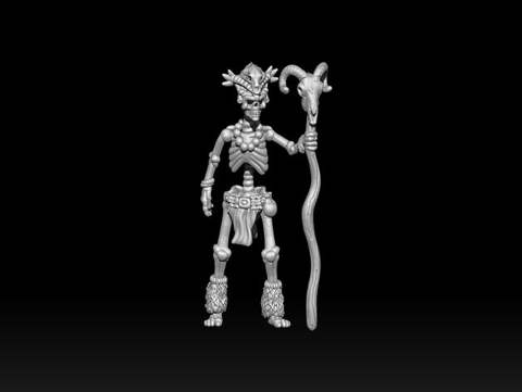 Image of Skeleton Witch Doctor
