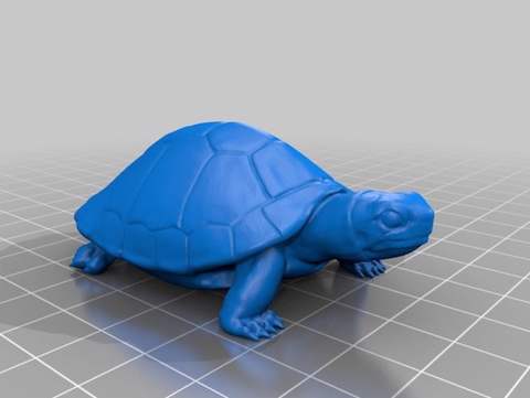 Image of 亀（Turtle）3Dデータ