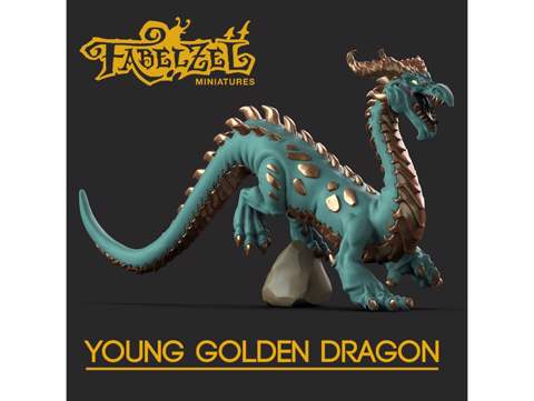 Image of Young Golden Dragon 