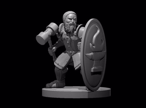 Image of Dwarf Fighter w Tower Shield n Hammer