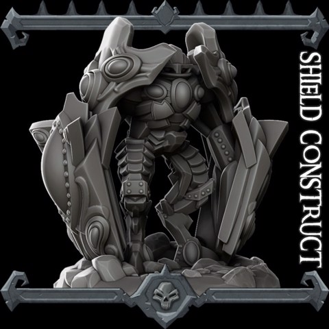 Image of Shield Construct