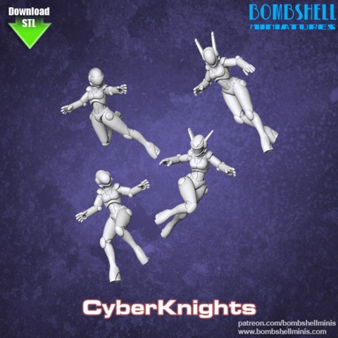 Image of Cyber Knights
