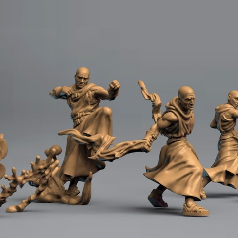 Image of Wandering monks