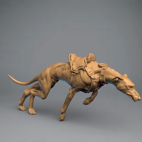 Image of Dog mount 4