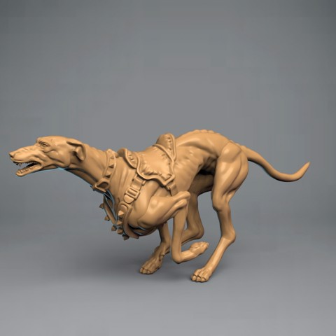 Image of Dog mount 1