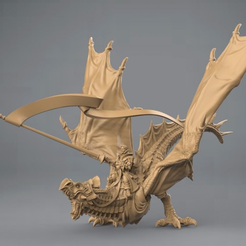 Image of Armored wyvern