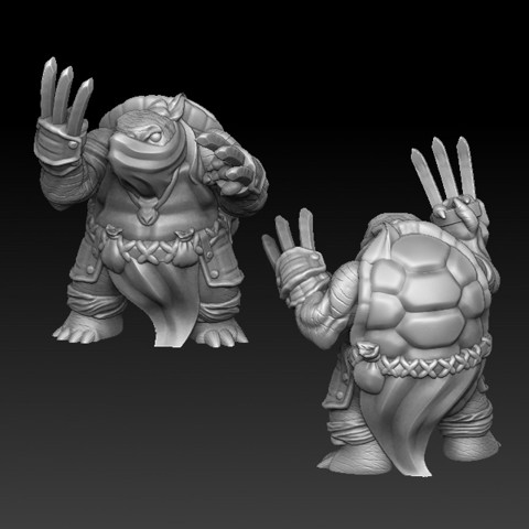 Image of Turtle warror with battle claws