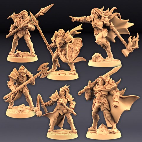 Image of Human Fighters Guild - 4 Modular + 2 Heroes