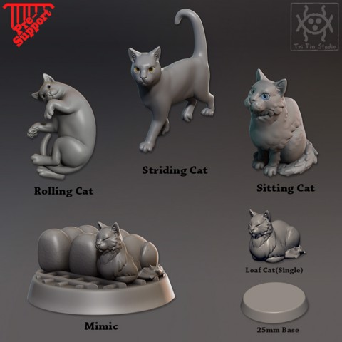 Image of Companion Cats pack