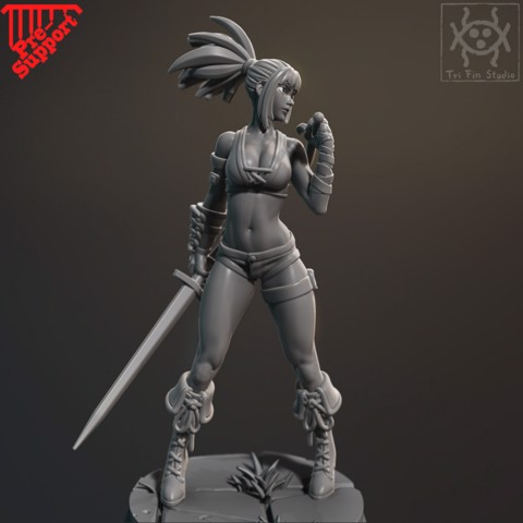 Image of Pin up - Dual sword fighter
