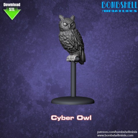 Image of Cyber Owl