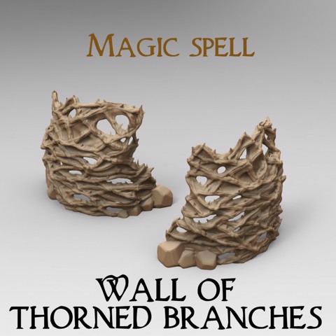 Image of Magic Spell : Wall of Thorned branches