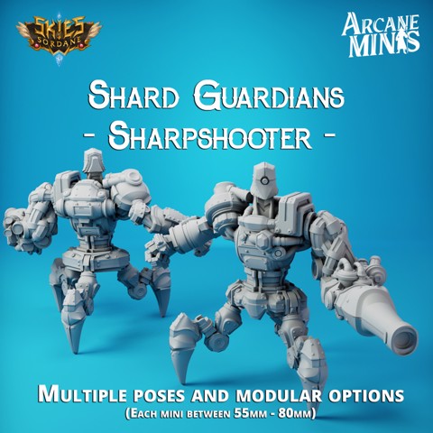 Image of Shard Guardian - Sharpshooter