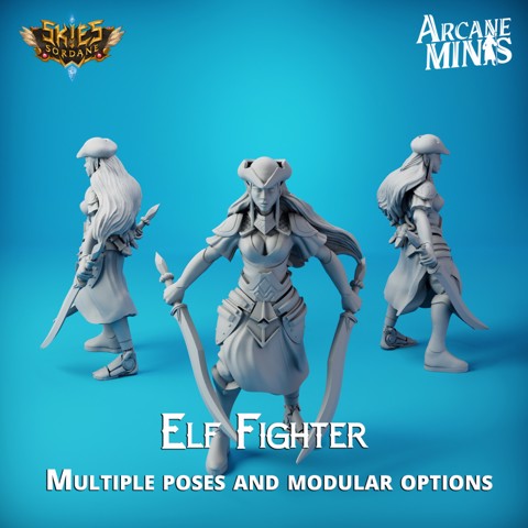 Image of Elf Fighter - Cin'dar Navy