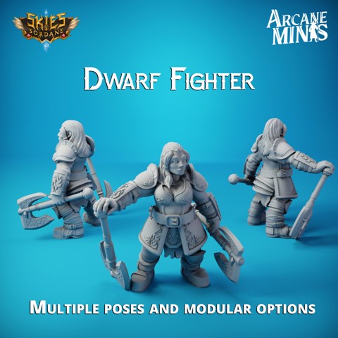 Image of Dwarf Fighter - Merchant Guilds