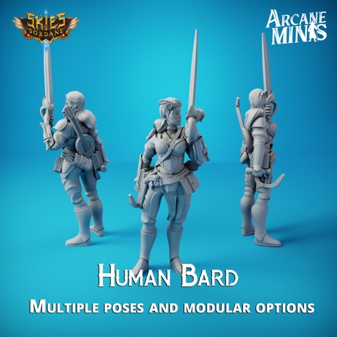 Image of Human Bard - Merchant Guilds