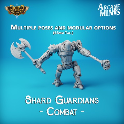 Image of Shard Guardian - Combat