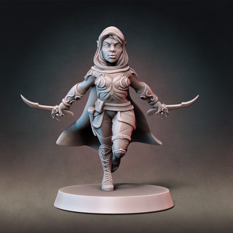 Image of Elf Rogue Type B with Modular Hands and Weapons (Presupported)