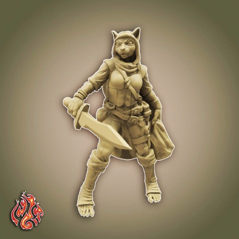Image of Lace the Tabaxi Rogue