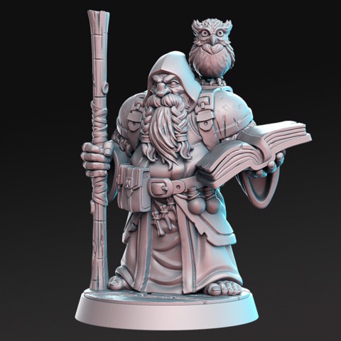 Image of Dramnir - Dwarf Wizard with owl - 32mm - DnD