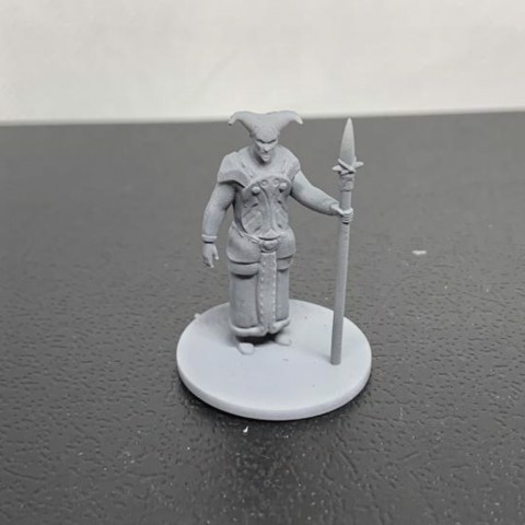 Image of Cult of the Abyss - Cult Guard Pose 1 for tabletop rpg war games like dnd