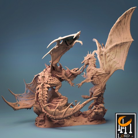 Image of Dark Dragon VS Grey Dragon