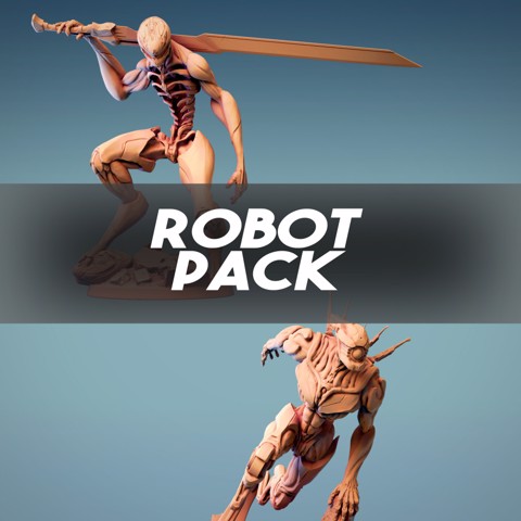 Image of Robot Pack